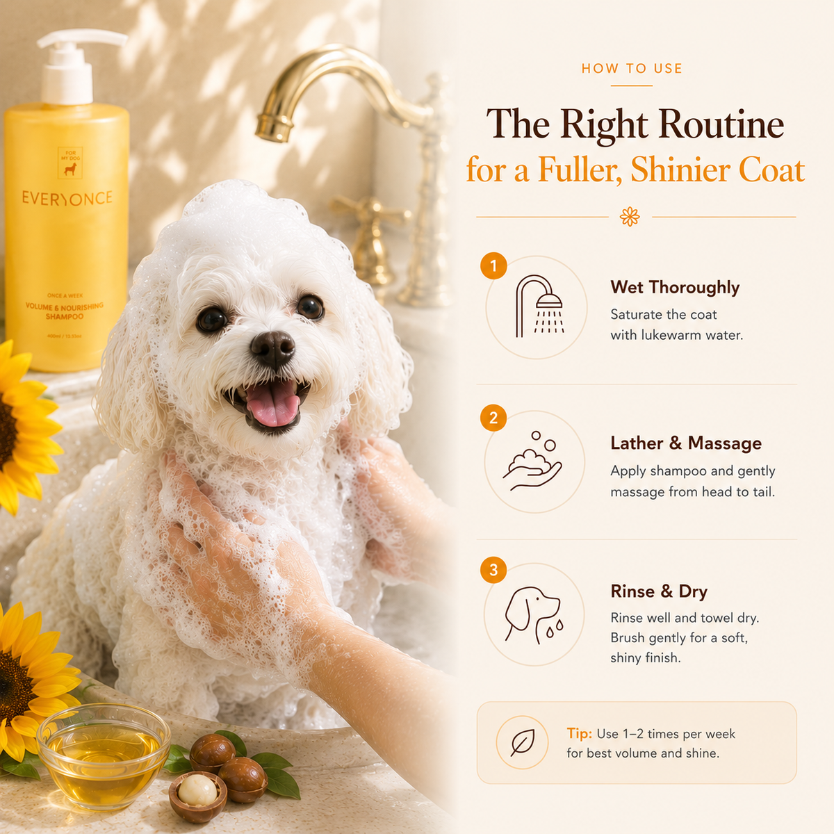 How to use Everyonce Volume & Nourishing Shampoo for a fuller, shinier coat