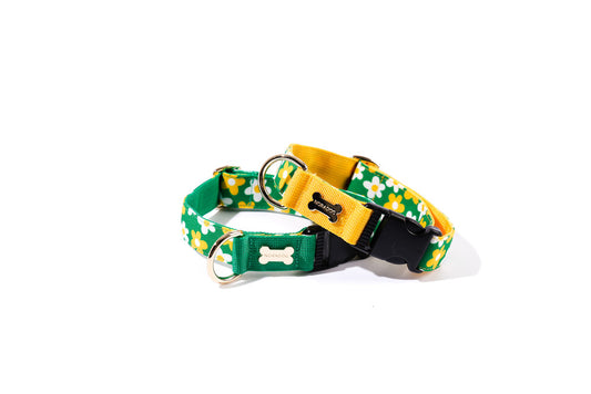 Picnic-pattern dog collars