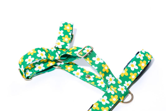 Green picnic-pattern dog harness