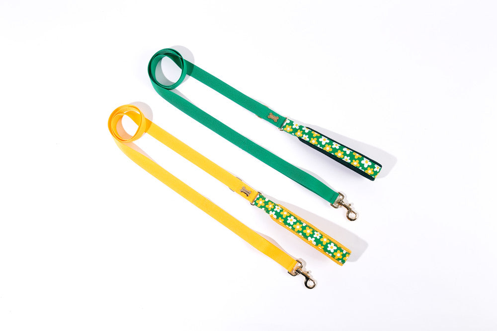 Picnic-pattern green and yellow dog leashes