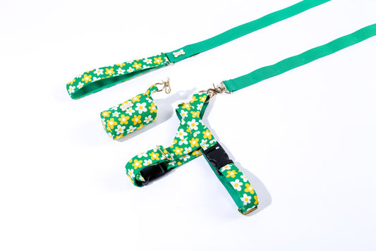 Coordinated picnic-pattern walking set