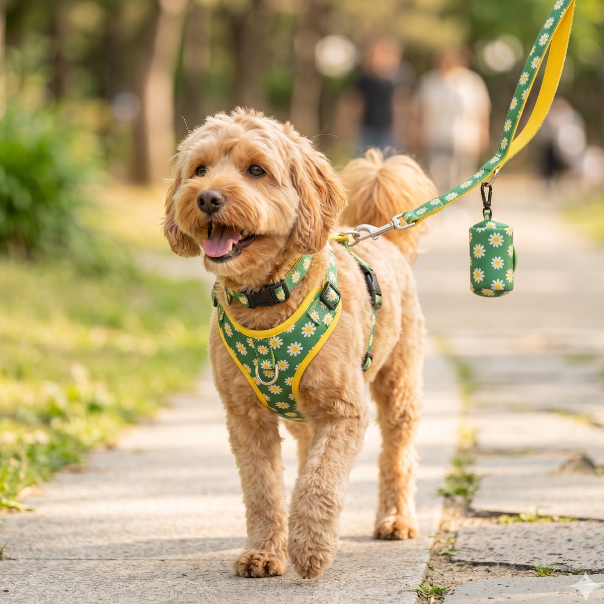 Walking